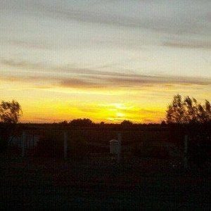 Meet your Posher, Shane